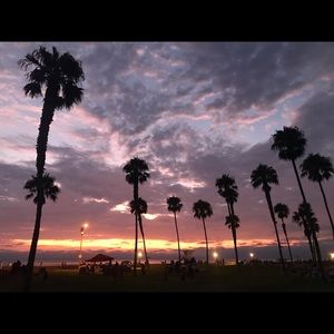 Meet your Posher, Abuelita